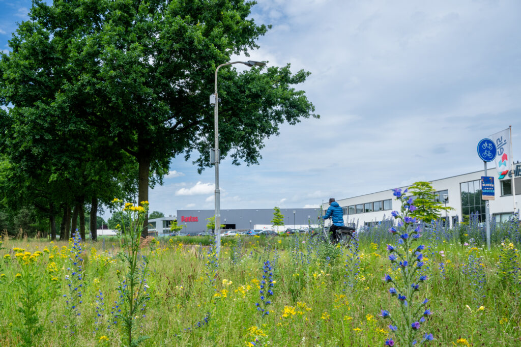 SBH-Vitaliteitsadviseur